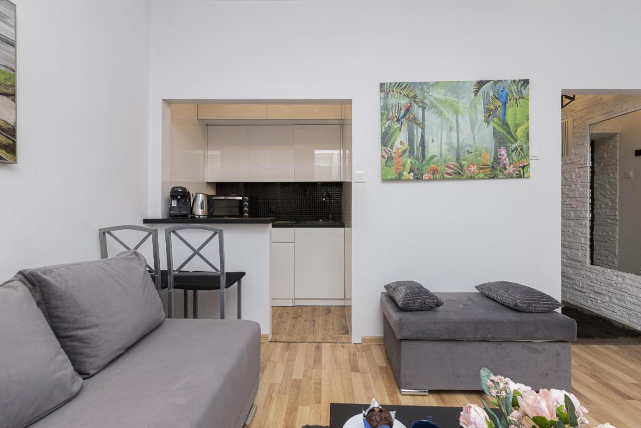 Batorego Downtown By Renters Apartment